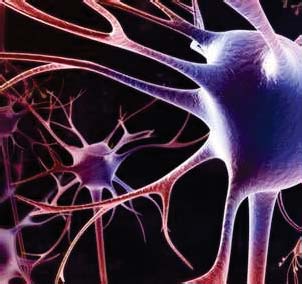 Ill Effects of Air Pollution in Children: Neurological Derailment © 2012 Global Journals Inc. (US) a) Environmental Factors in Brain Development