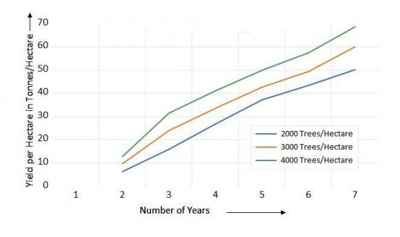 Figure 1: Yield per Hectare through the Years Figure 2, shows the cost of the trees per hectare which includes the establishment cost of the trees. The establishment cost mainly includes, plantmaterial cost, drip-irrigation set-up cost, trellis system development cost, fencing, fertlizers and pesticides cost, tree-training cost and supervision cost. The graph shows linear relationship between the tree density/hectare and the cost of trees, as the equation we concluded was Y= 4681+ 4.14X, (P<0.01), where Y is the total cost per hectare and X is the tree density per hectare (see, Figure2). There is slight dip with the increase in density of the trees which means that the costs lower when the densities increase. The lowering of the costs is partly attributed to the discount offers and the economies of scale.McKenzie et al., (1976) had discussed the relative cost of high-density apple vis-àvis the traditional farming of New Zealand and found a similar linear increase with a slight fall in the highest bracket.