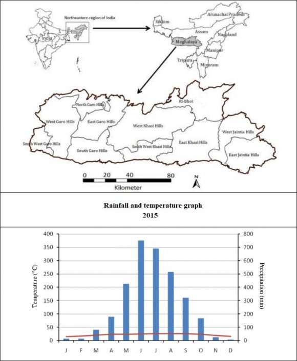 Figure 1Though the maximum rainfalls are found in the month of June, July and August but rainfalls occur more or less in all the season and the difference between the highest temperature and the lowest temperature of the year is very little. Khasi tribes are the largest indigenous community with around 48% of the total population of Meghalaya and before the arrival of the Christian missionaries they practiced indigenous tribal religion. Tribes are the worship of nature and their value based religious practices now are in the way of abolishing. Now around 85% have embraced Christianity. Very few of them still follow their age old indigenous religion. Khasi uses English and own Khasi language for communication. Society is Matri-lineal. The main occupation of Khasi tribe is agriculture and tourism but now they are migrating from their primitive habitation area to the outside places for a better job opportunity. The major crops produced by Khasi tribes are betel leaf, Areca nut, deal, local Khasi Rice, vegetables and oranges. Like other forest dweller tribes, they broadly depend on forest resources and their acquired Tribal Ecological Knowledge (TEK) over a thousand and more than a thousand years. This knowledge is transmitted from one generation to another by oral method and play a vital role to develop ecological behaviour.