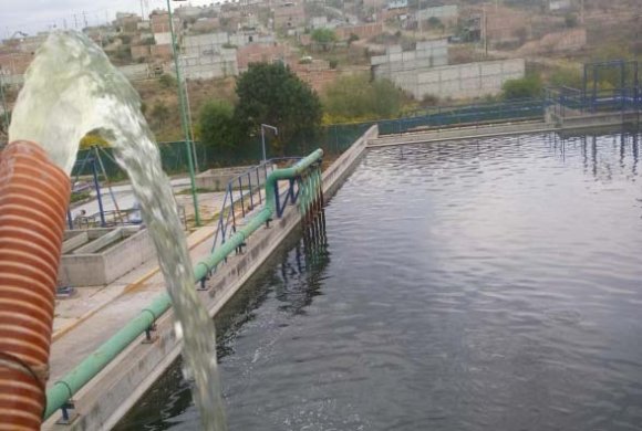 Figura 6: Caída de agua d) Del cultivo de la tilapia A mediados del mes de mayo del 2019 comenzaron a nacer los primero alevines, ver figura siguiente: