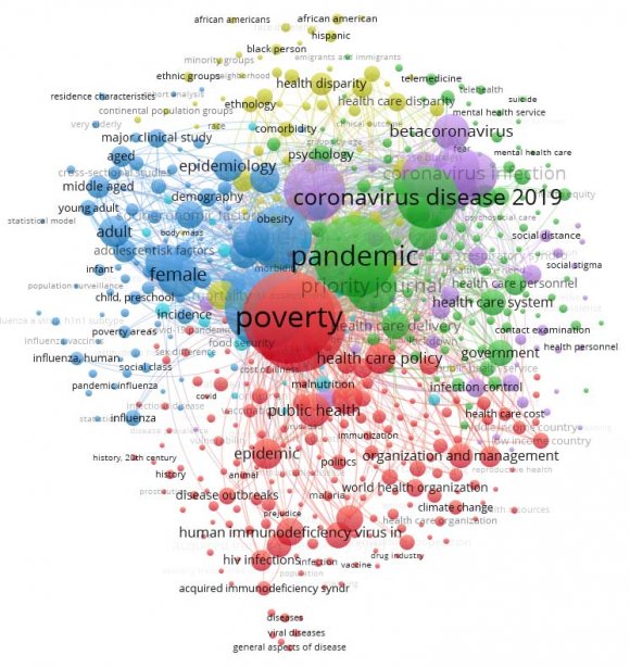 Figura 5: Publicaciones por afiliación institucional (1989-2021)Las publicaciones científicas realizadas en Scopus, a través de la red semántica de palabras claves confirman una estrecha relación entre pandemia y pobreza (panel a), así mismo revela la importancia de los factores socioeconómicos preexistentes como condicionantes de la relación entre pobreza y pandemia (panel b). Por otro lado, al analizar otro clúster de la red semántica se observa la relación entre las políticas públicas en materia de salud y las acciones gubernamentales en la lucha contra la pandemia