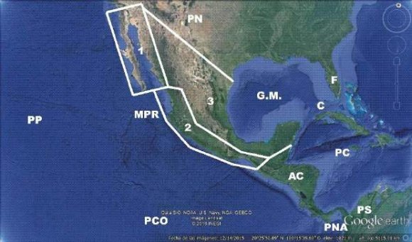 Intersecciones principales de MéxicoNºFallas -Estructuras Coordenadas (N / O)