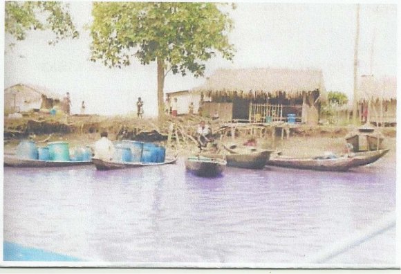 Journals Inc. (US) 2012 Year Gemedo-Dalle et al. (2005) documented Salvadora persica as the most important plant species for toothbrushes in Borana lowlands, whereas Munishi et al. (