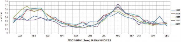 Figure 20 : Biomass versus NDVI and Mean maximum from January 2011 to December 2011 for Bahak Maqaiyaddin, District Hafizabad. (The error bars of biomass are shown with 1 standard deviation).