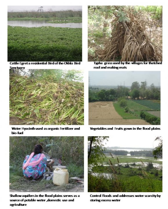 Disaster Risk Reduction: A Case Study of Wetland in East Delhi Region, India V.