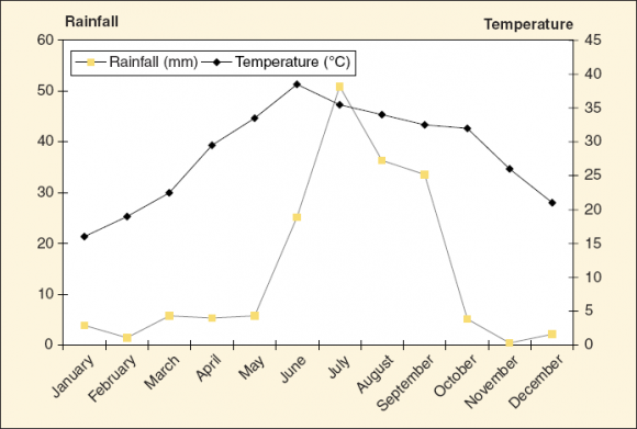 Figure 3 : Land system of Cholistan Desert Processed by the author