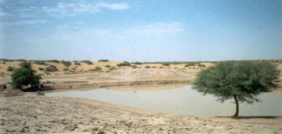 Figure 8 : Potential rainwater harvesting sites in the Cholistan Desert Processed by the author