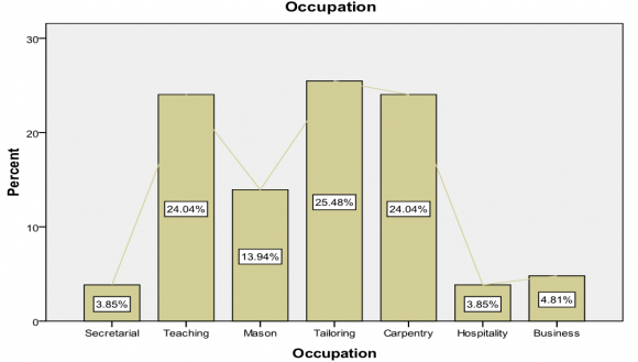 Figure 2 : Occupations