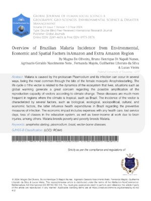 Overview of Brazilian Malaria Incidence from Environmental, Economic and Spatial Factors in Amazon and Extra Amazon Region